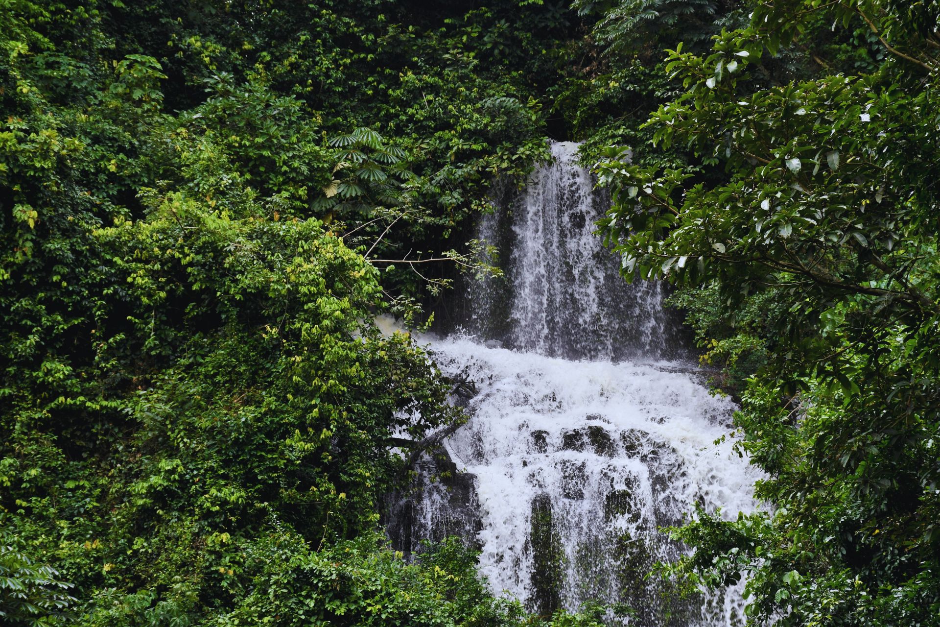 Acton Travel and Tours – Explore Ghana at Aburi Waterfalls, a hidden gem of natural beauty.