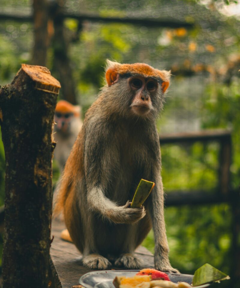 Three Day Volta Adventure